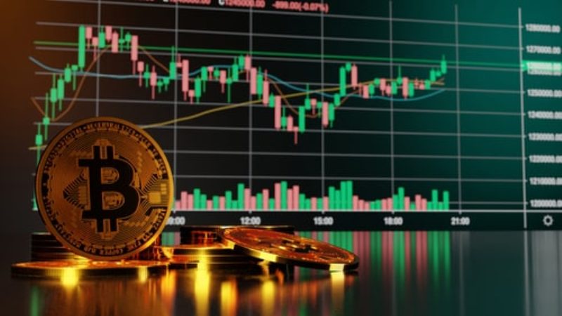 What Are the Most Popular Cryptocurrencies in the Market Today?